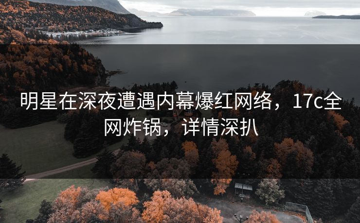 明星在深夜遭遇内幕爆红网络，17c全网炸锅，详情深扒